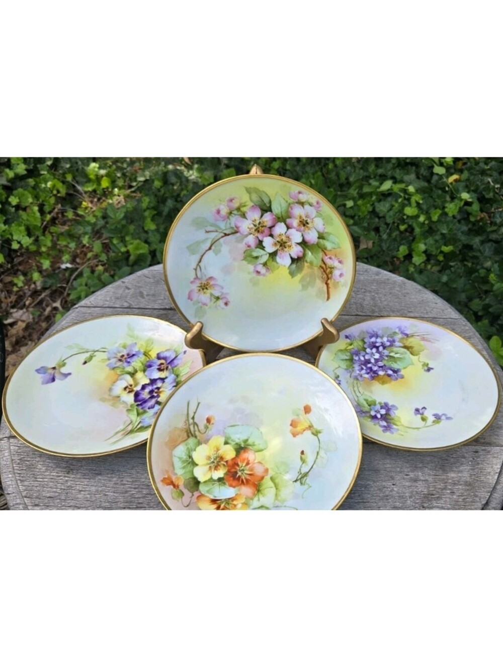 Antique Bavarian Thomas Signed F Walter's 8.5” Salad Wall Plate Set 4 Botanical